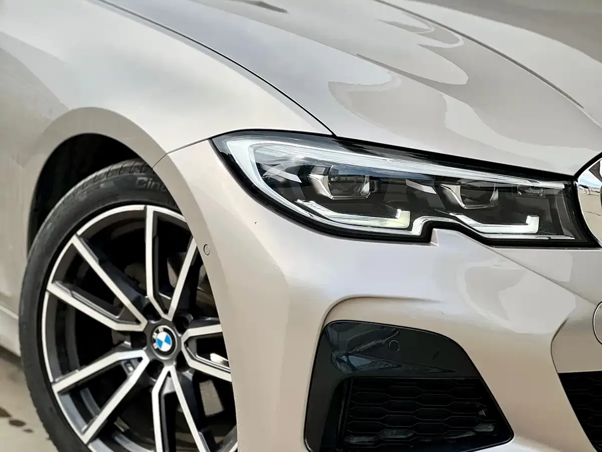 BMW 3 Series 320Li M Sport Package 2020 — фото 6