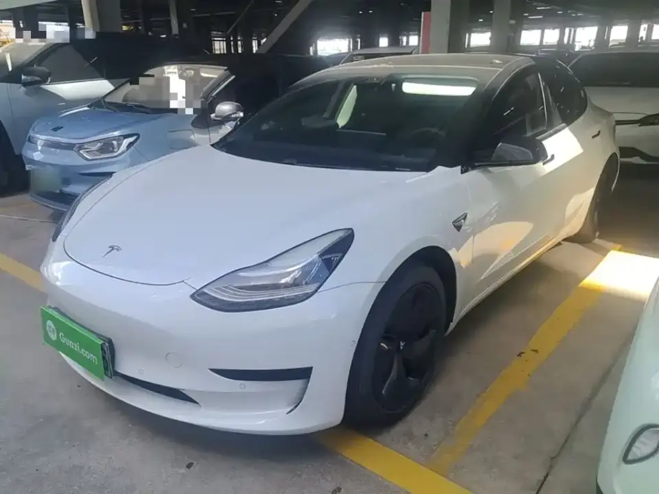 Tesla Model 3 Standard Range Rear-Wheel Drive Upgrade 2020