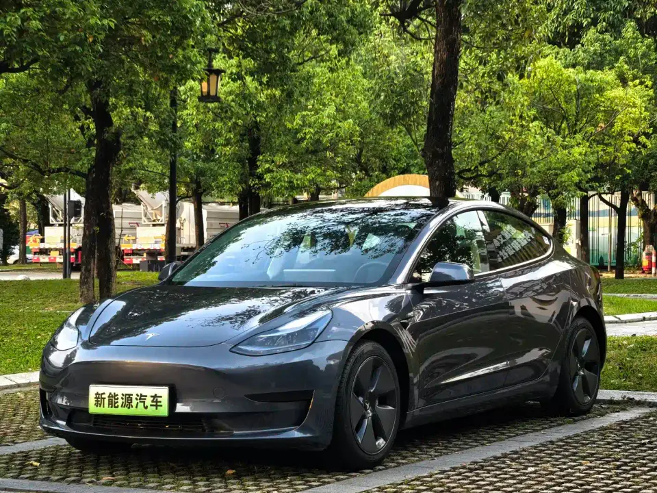 Tesla Model 3 Standard Range Rear-Wheel Drive Upgrade 2021