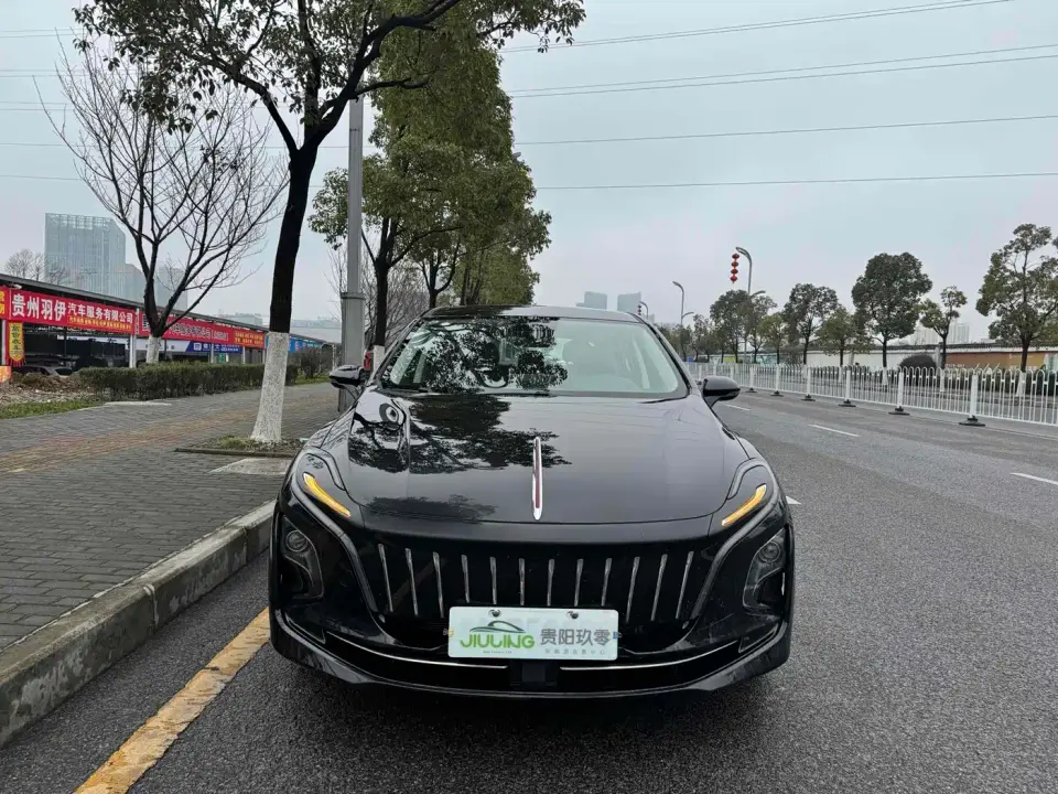 Hongqi E-QM5 Basic Travel Edition 2024