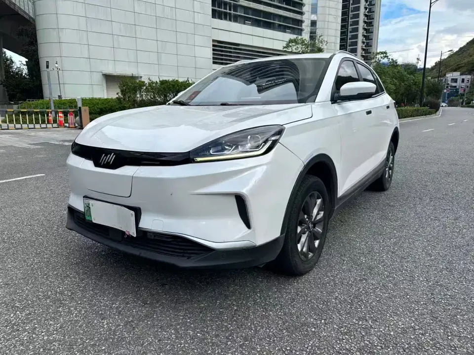 Weltmeister EX5 EX5 520 Jike Travel Edition 2021