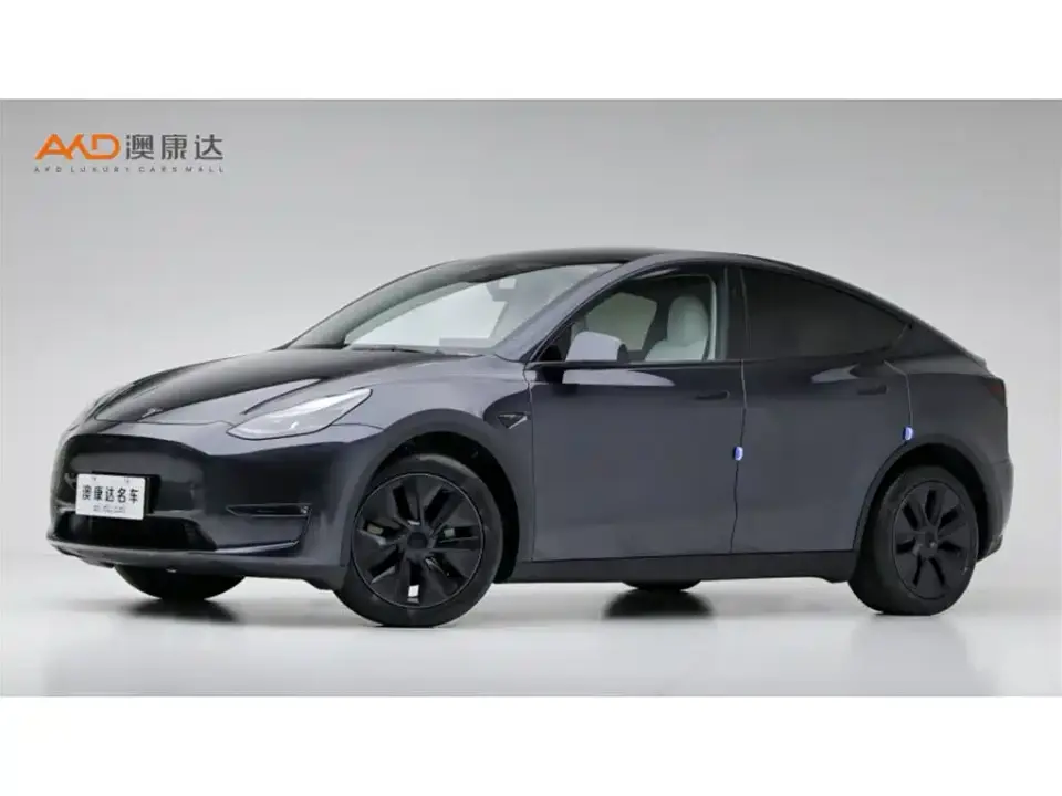 Tesla Model Y Long Range AWD 2024