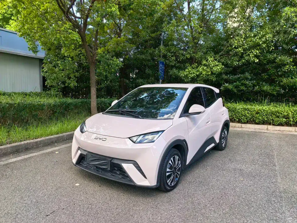 BYD Seagull Glory Edition 305km Vitality Edition 2024