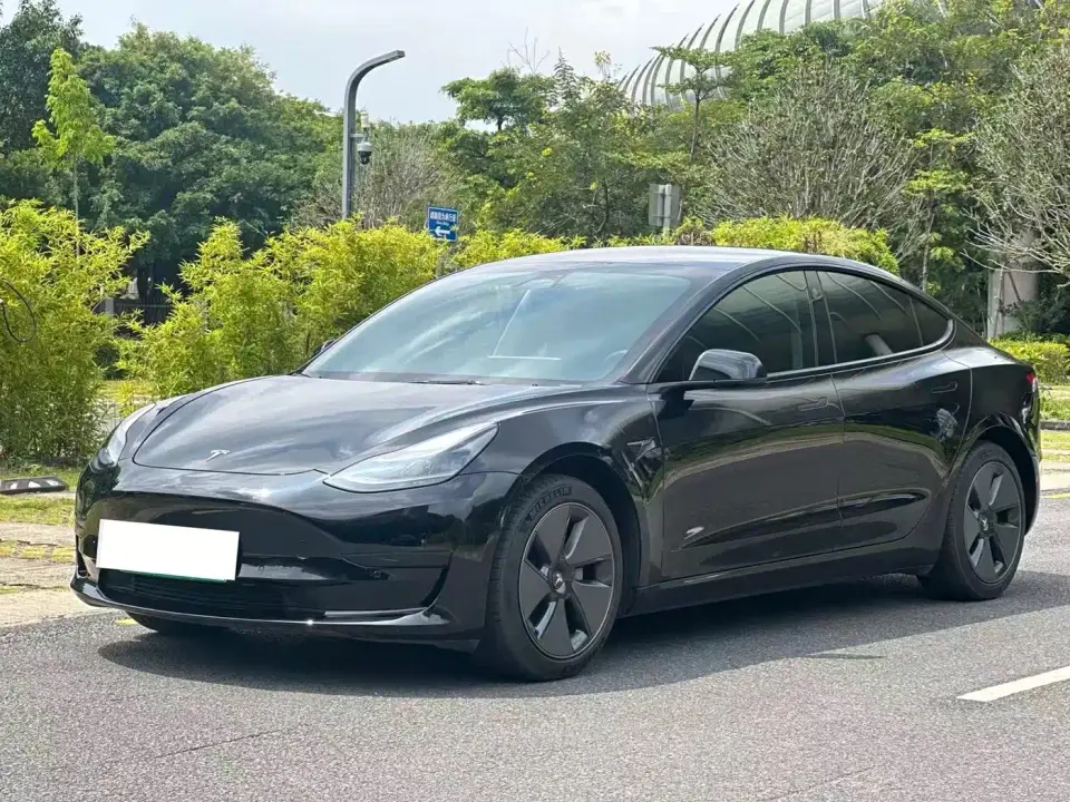 Tesla Model 3 Model Rear-Wheel Drive Version 2022