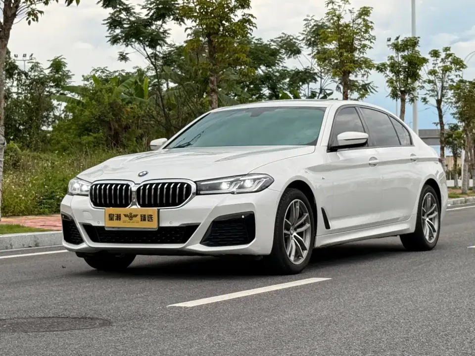BMW 5 Series 525Li M Sport Package 2019