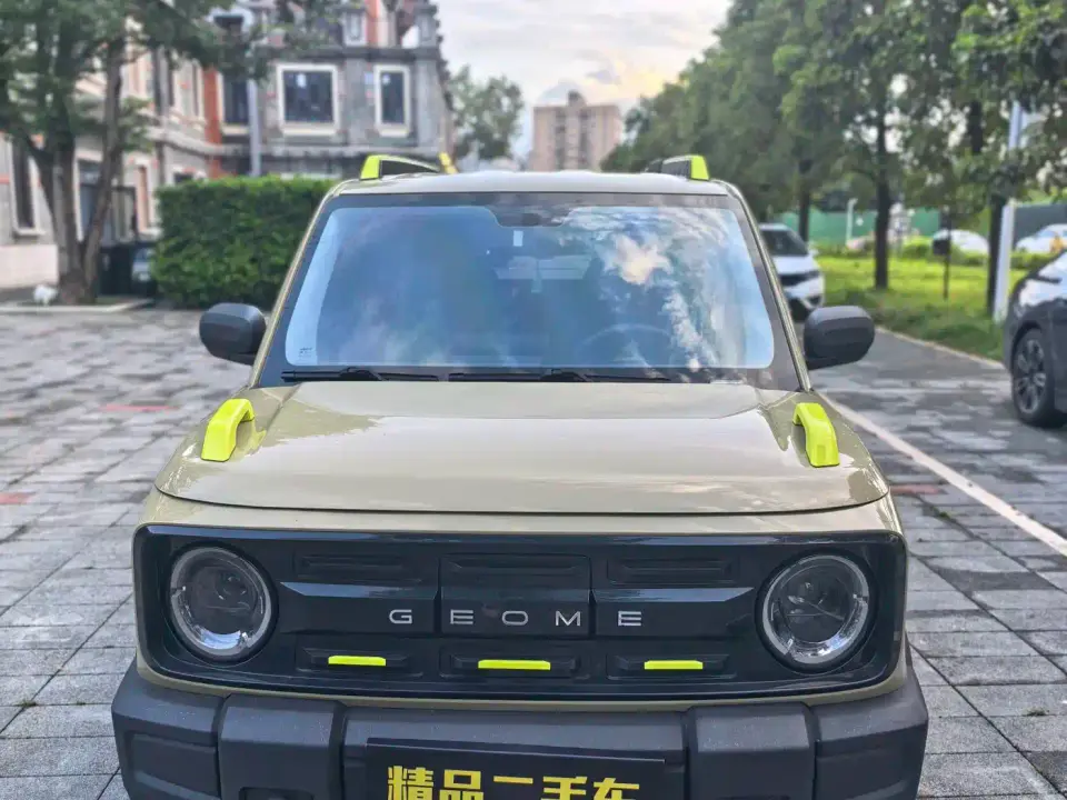 Geely Galaxy Panda 200km Panda Knight 2024