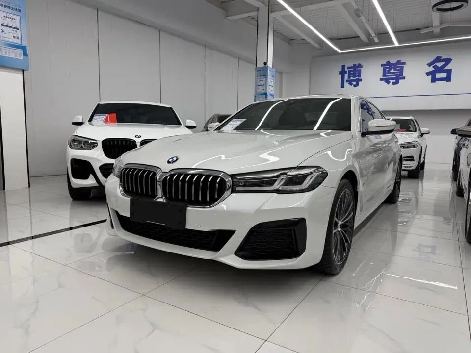 BMW 5 Series 530Li Leading M Sport Package 2020