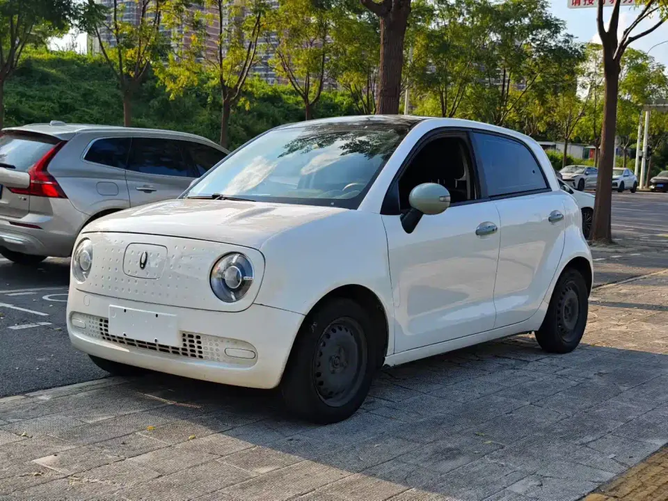 ORA Black Cat 301km Basic Model 2021