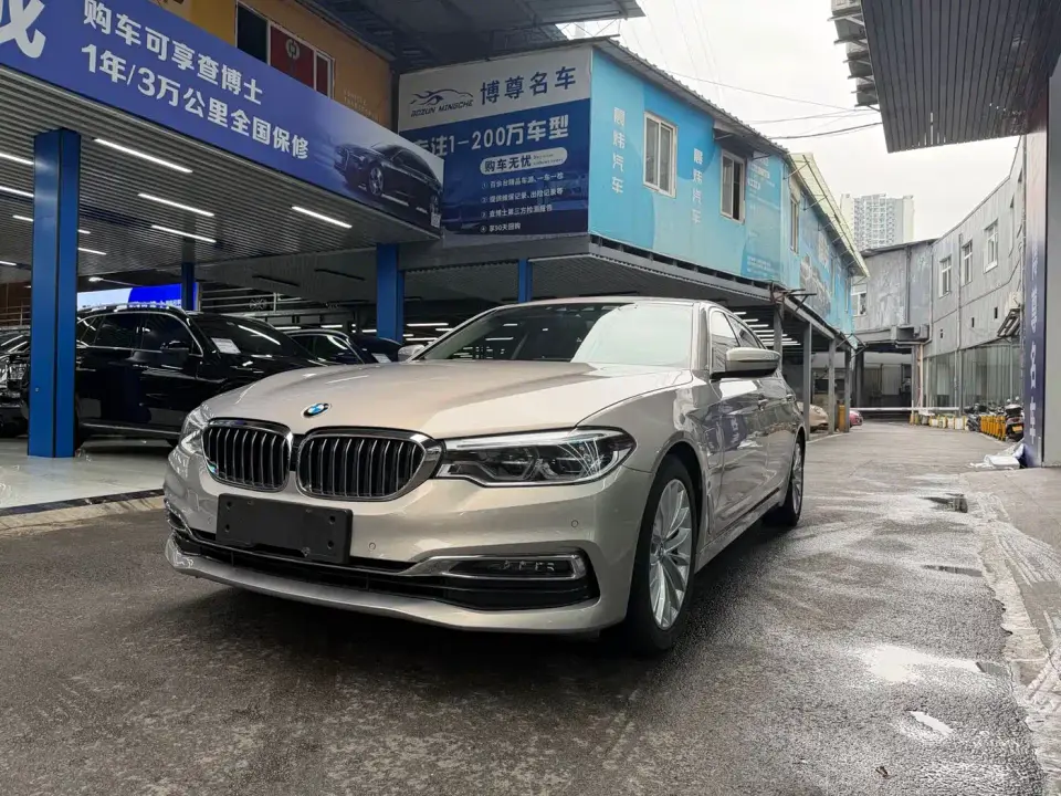 BMW 5 Series New Energy 530Le Luxury Package 2019