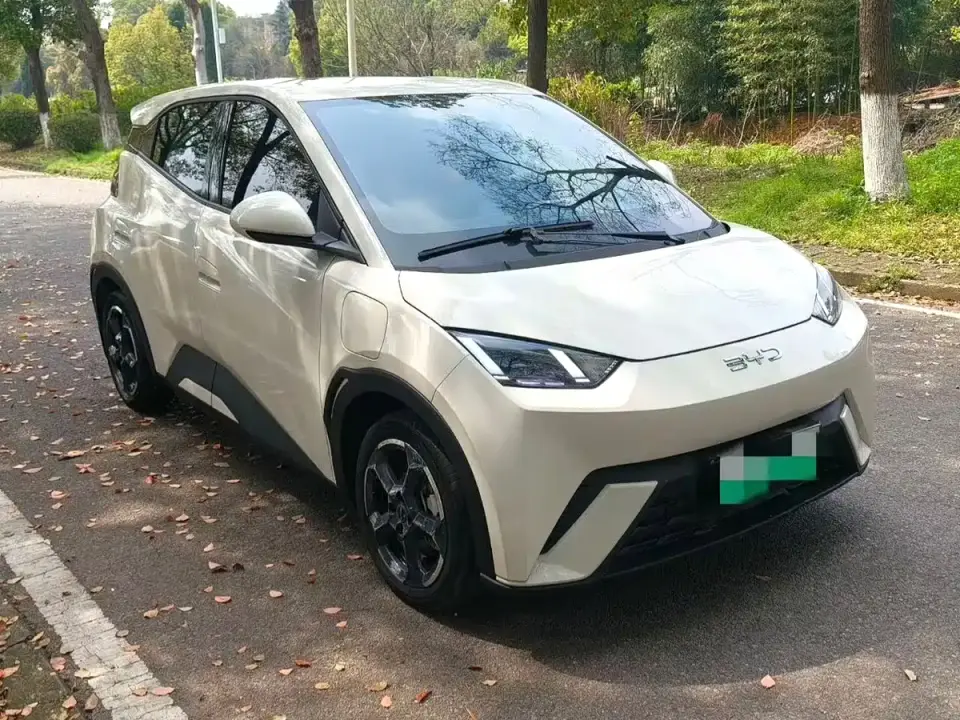 BYD Seagull Glory Edition 305km Freedom Edition 2024