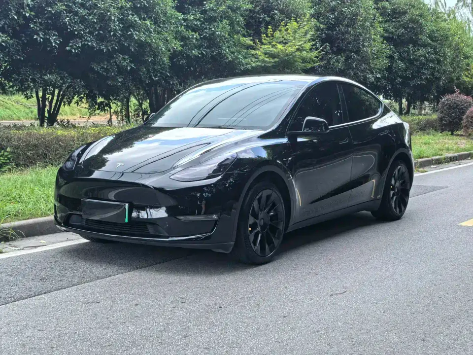 Tesla Model Y Standard Range Rear-Wheel Drive 2021