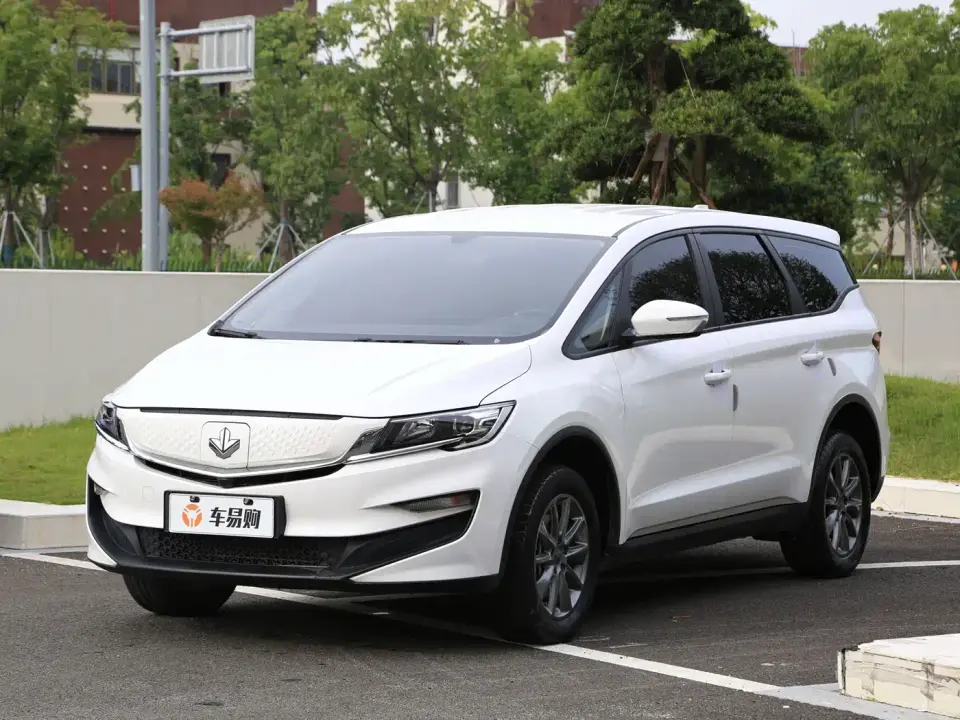Ruilan Auto Maple 80v Youxing Edition Ternary Lithium 2024