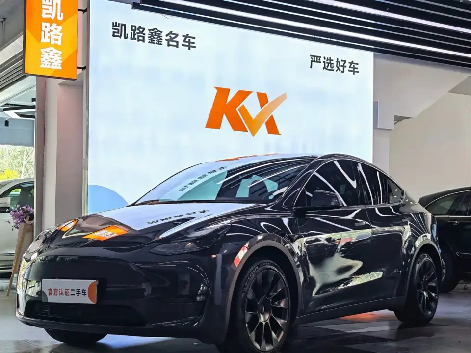 Tesla Model Y Long Range AWD 2024