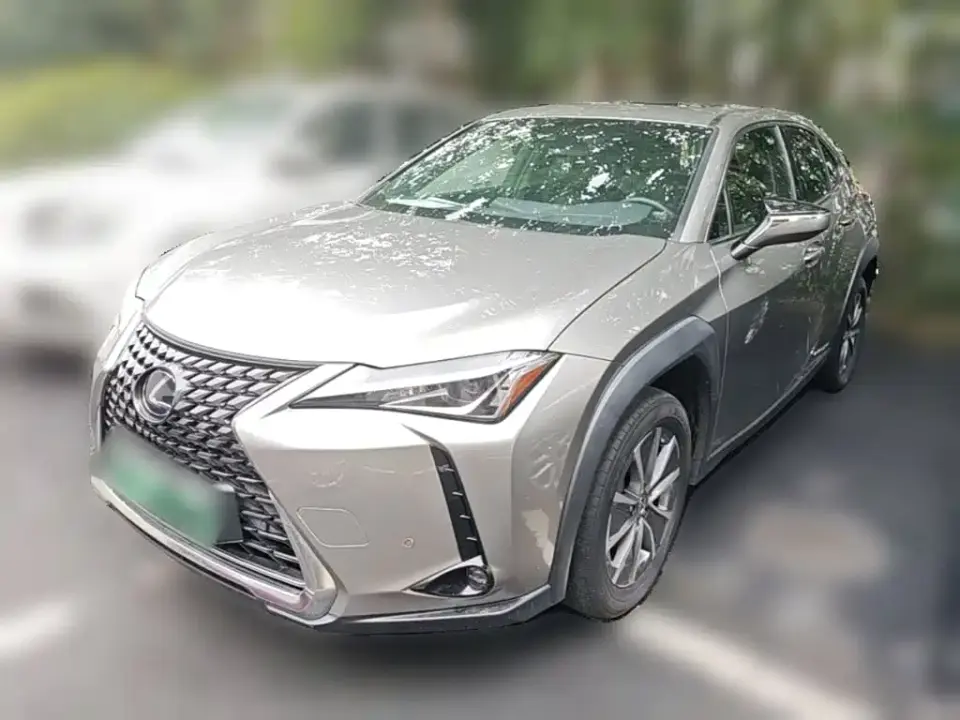 Lexus UX Electric 300e Pure Yue Edition 2021