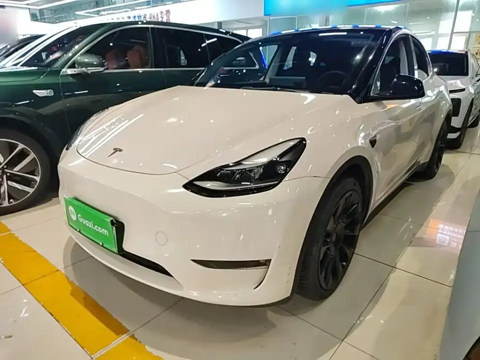 Tesla Model Y Standard Range Rear-Wheel Drive 2021