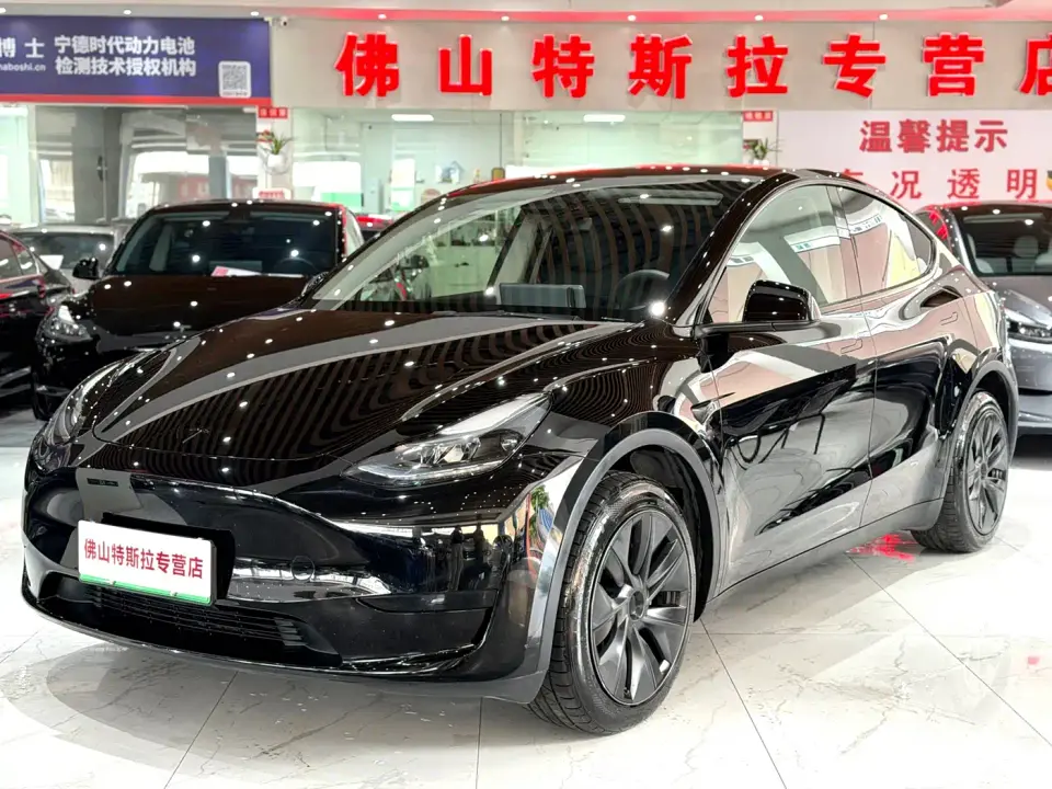 Tesla Model Y Rear-Wheel Drive Version 2024