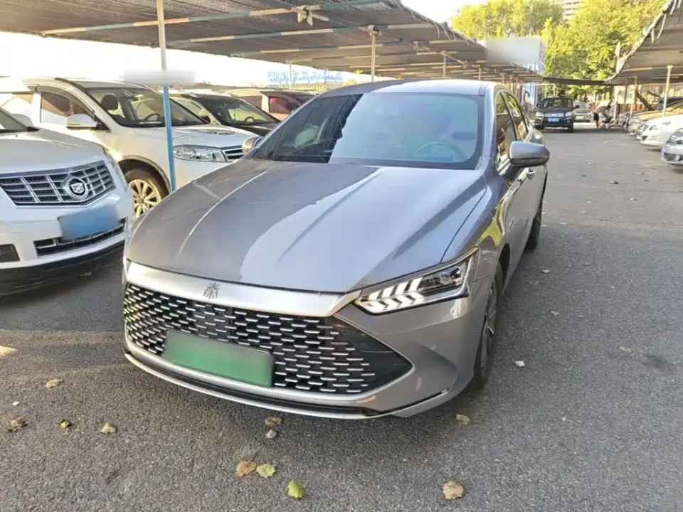 BYD Qin PLUS Champion Edition DM-i 55KM Leading 2023