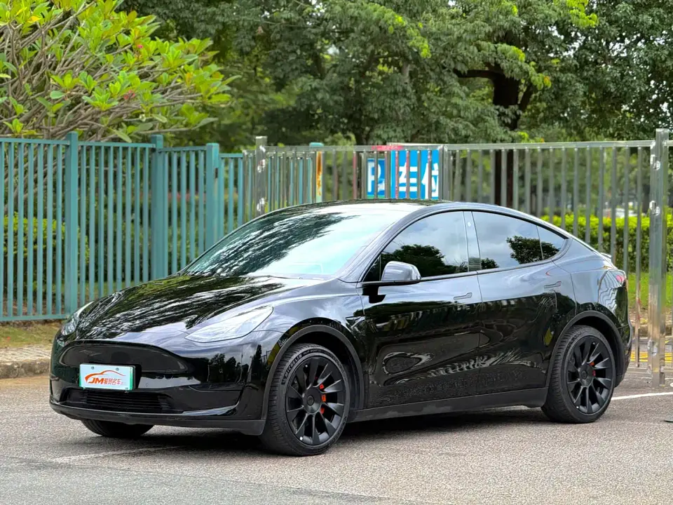 Tesla Model Y Rear-Wheel Drive Version 2022