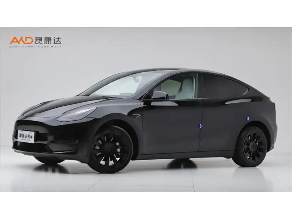 Tesla Model Y Long Range All-Wheel Drive 3D7 2021