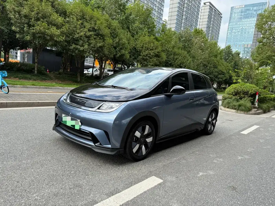 BYD Dolphin 401km Knight Edition 2023