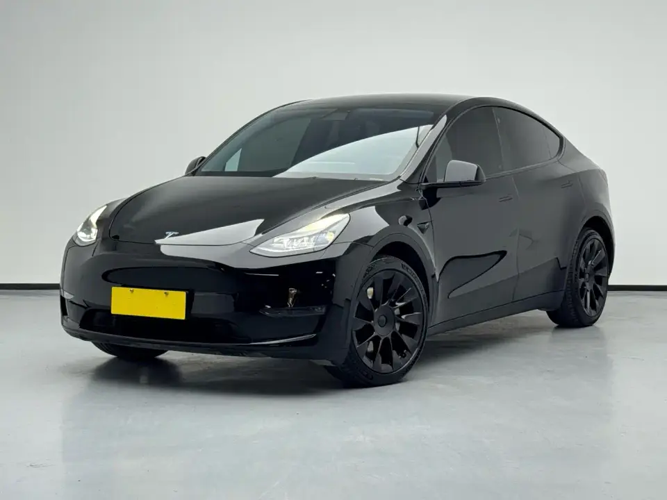 Tesla Model Y Long Range All-Wheel Drive 3D7 2021