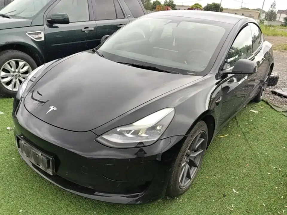 Tesla Model 3 Standard Range Rear-Wheel Drive Upgrade 3D6 2022