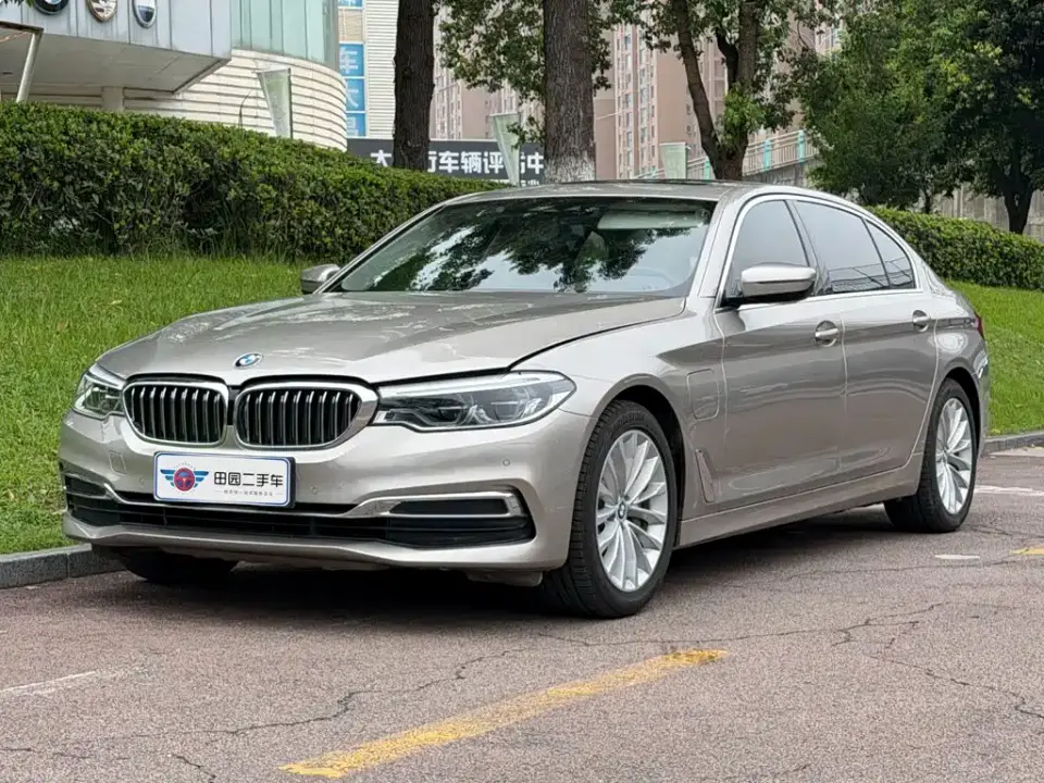 BMW 5 Series New Energy 530Le Luxury Package 2020