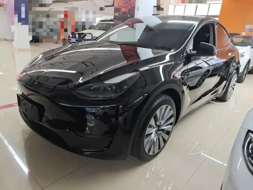 Tesla Model Y Rear-Wheel Drive Version 2022