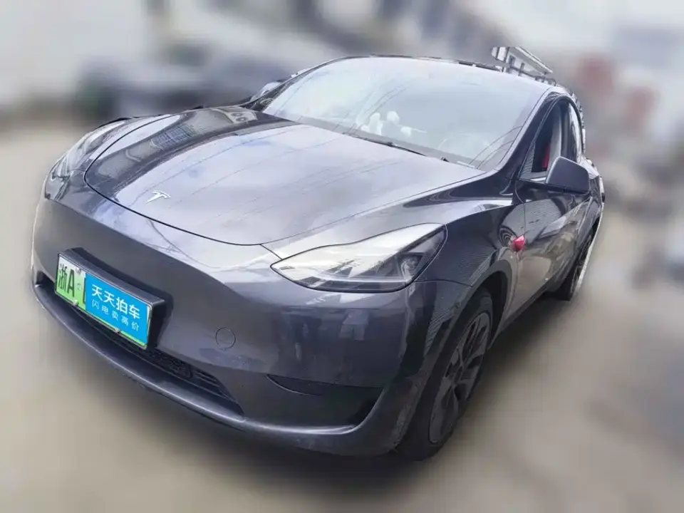 Tesla Model Y Rear-Wheel Drive Version 2024