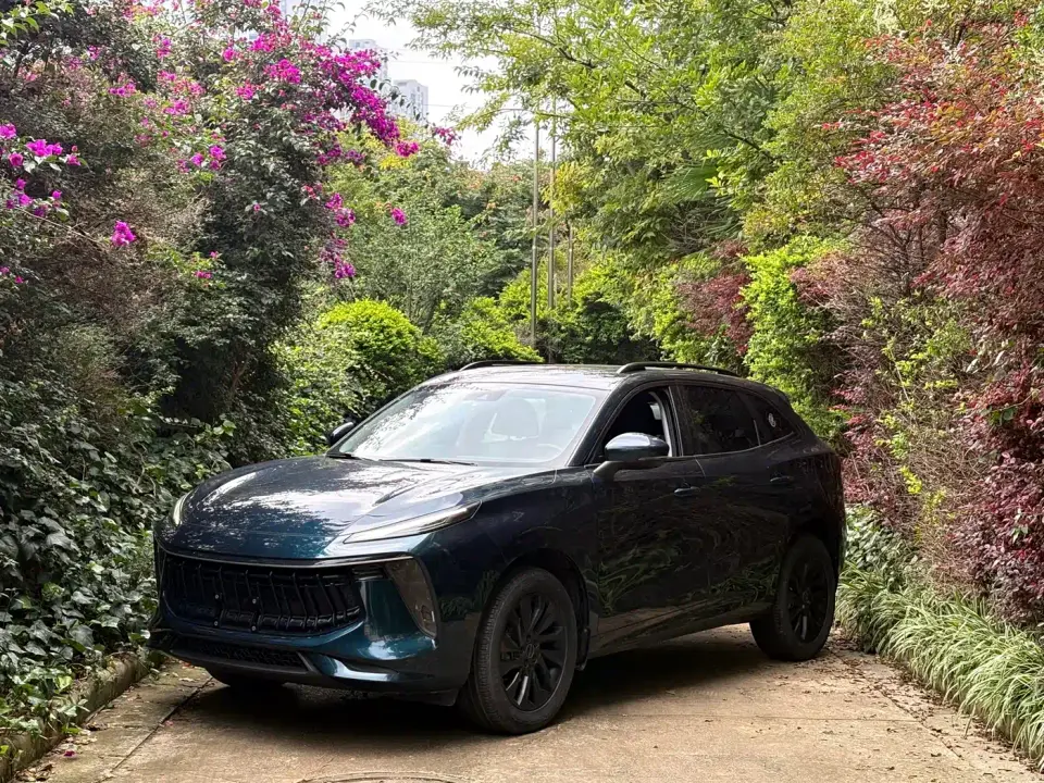 Dongfeng Fengxing Fengxing T5 EVO 1.5TD DCT Glory Edition 2021