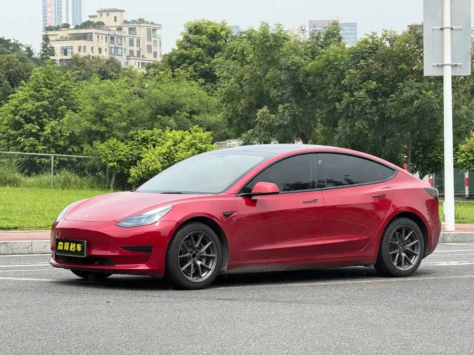 Tesla Model 3 Model Rear-Wheel Drive Version 2022