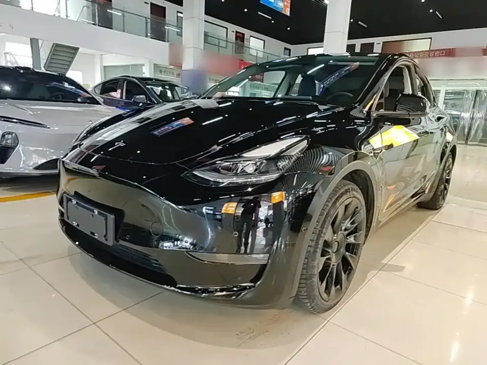 Tesla Model Y Standard Range Rear-Wheel Drive 2021