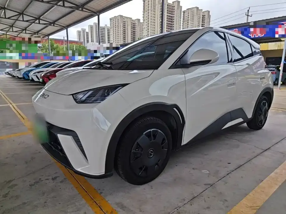 BYD Seagull 305km Vitality 2025
