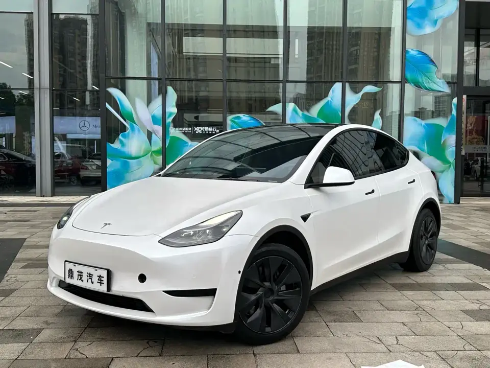 Tesla Model Y Rear-Wheel Drive Edition 2024