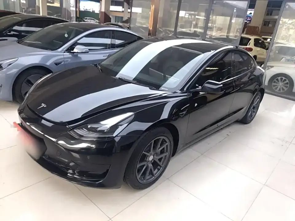 Tesla Model 3 Model Rear-Wheel Drive Version 2022