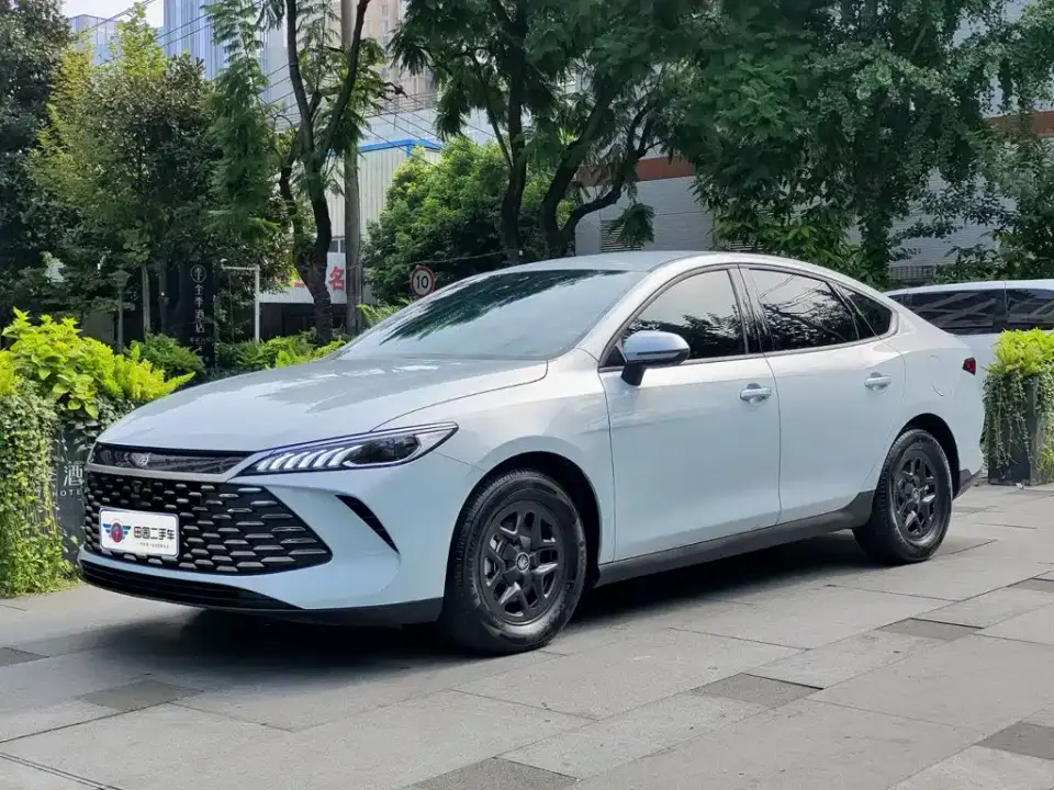 BYD Qin PLUS DM-i Smart Drive 55KM Leader 2025