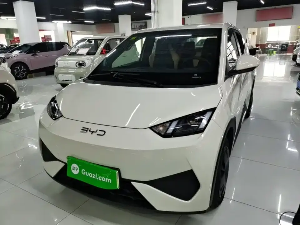 BYD Seagull Smart Drive Edition 305km Vitality Version 2026