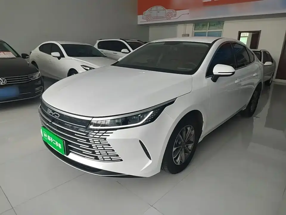BYD Destroyer 05 Glory Edition DM-i 55KM Luxury 2024