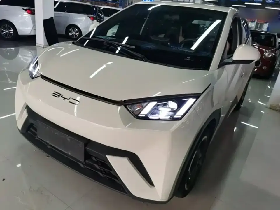 BYD Seagull Flying Edition 2024