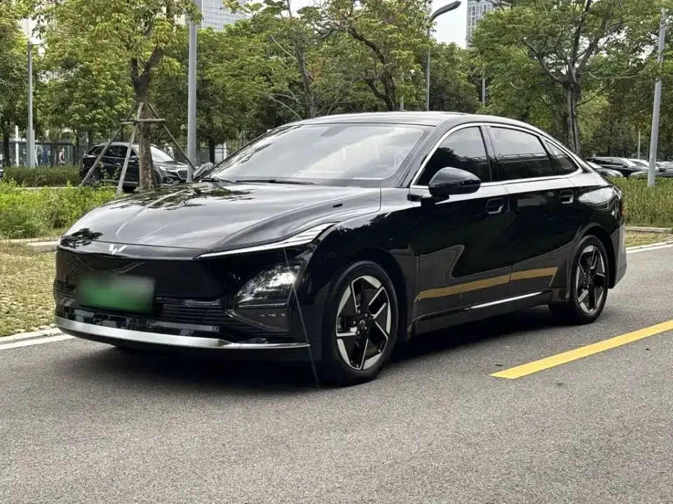 Wuling Motors Wuling Xingguang Co-creation Edition 510 Advanced 2024