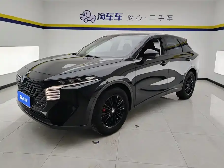 Venucia Big V 260T Dark Horse Edition·Idol 2023