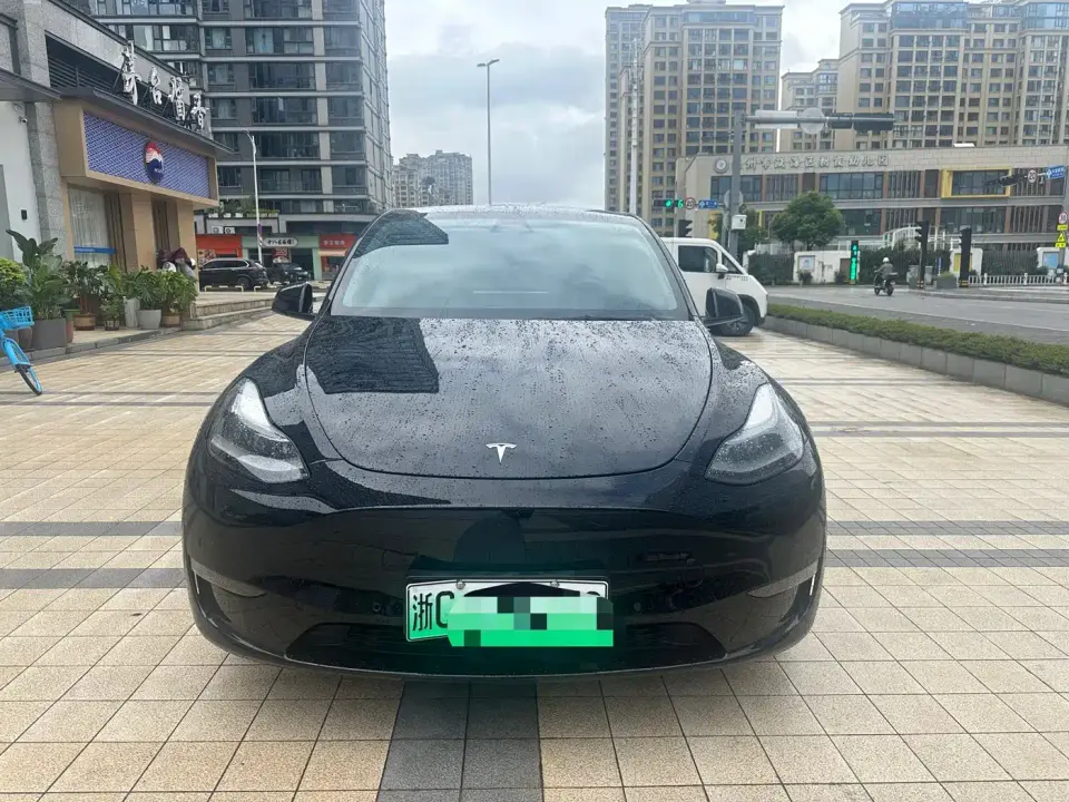 Tesla Model Y Model Long Range AWD 2021