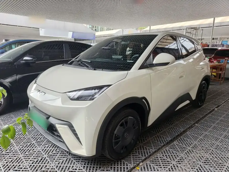 BYD Seagull Vitality Edition 2024