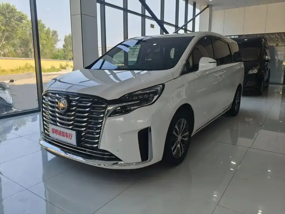 Buick GL8 ES Landmaster Exclusive 2024