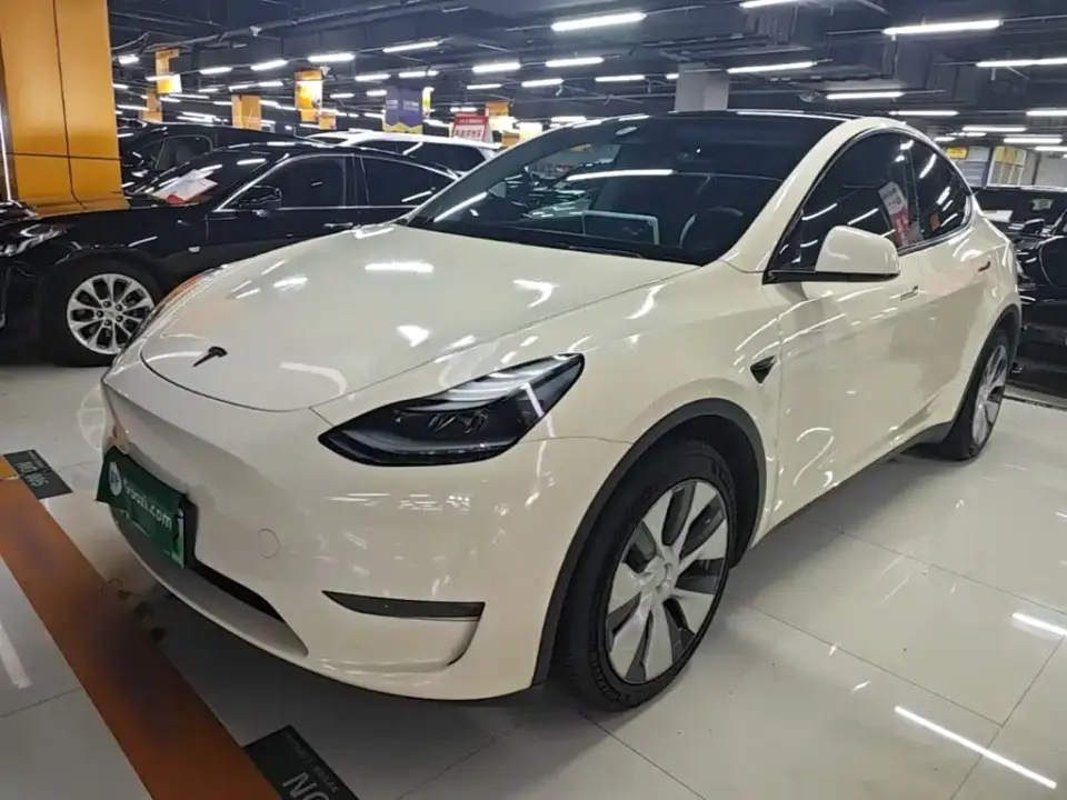 Tesla Model Y Model Long Range AWD 2021