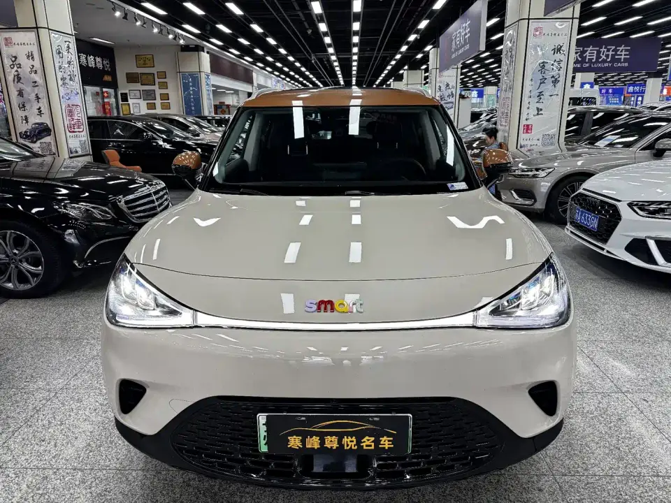 Smart Elf #1 Model Smart Long Range Edition 2025