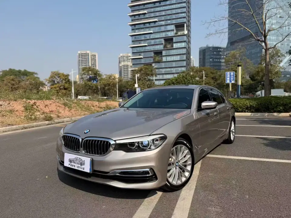 BMW 5 Series 530Li Leading Luxury Package 2019