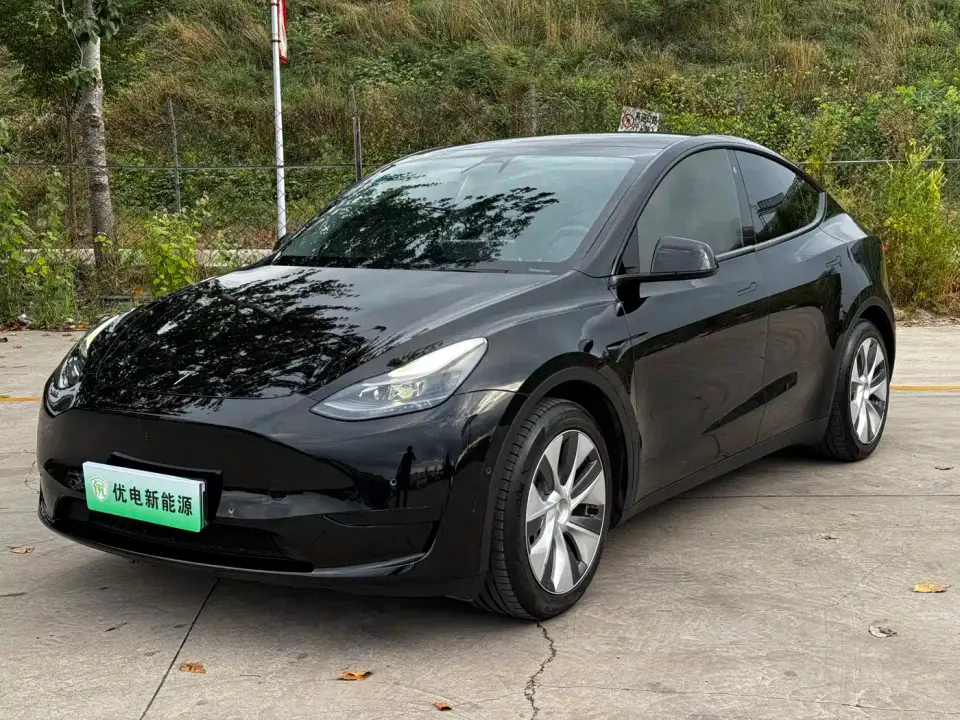 Tesla Model Y Rear-Wheel Drive Version 2022