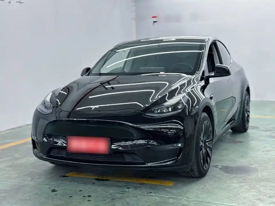 Tesla Model Y Standard Range Rear-Wheel Drive 2021