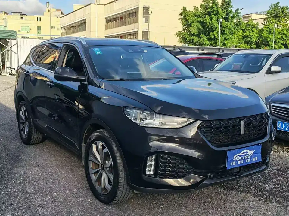 Wey VV6 2.0T 2WD Super Luxury China V 2019